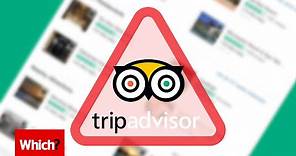 TripAdvisor’s fake hotel reviews - Which?