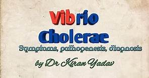 Microbiology lecture|Vibrio cholerae(Cholera)symptoms, pathogenesis,diagnosis|Bacteriology