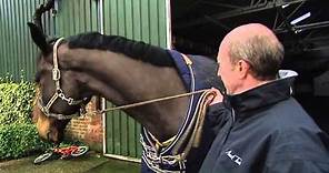 Showjumping - Michael Whitaker At Home - February 2010