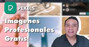 Imágenes Profesionales Gratis! - Pexels Full Review en Español