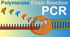 PCR - Polymerase Chain Reaction (IQOG-CSIC)