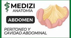 Anatomía del Abdomen - Peritoneo y Cavidad abdominal (MESOS Y EPIPLONES)