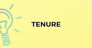 What is the meaning of the word TENURE?