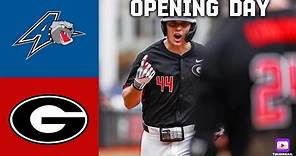 Georgia Baseball Highlights vs UNC Asheville | 2024 College Baseball Highlights | 2/16/24