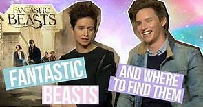 Eddie Redmayne and Katherine Waterstone talk Fantastic Beasts and he's adorable
