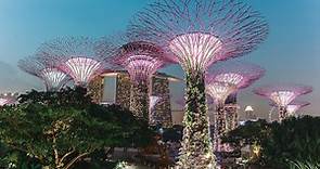 15 Things You Need To Know About Visiting Singapore