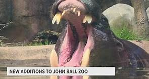 John Ball Zoo welcomes new additions