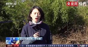 央视追踪胡鑫宇事件 披露更多细节