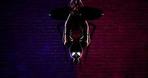 Spiderman Hanging 4k Live Wallpaper | Marvel |Spiderman No Way Home.