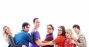 The Big Bang Theory: Season 12 Episode 13 The Confirmation Polarization