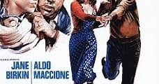 Bruciati da cocente passione (1976) Online - Película Completa en Español - FULLTV