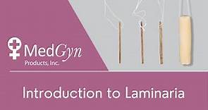 Introduction to Laminaria