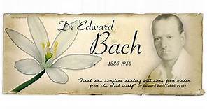 Biografía del Dr. Edward Bach