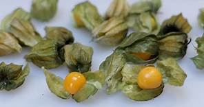 How to eat Goldenberry | What does a Golden berry Taste like (Cape gooseberry)