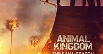 Animal Kingdom Stagione 6 - streaming online