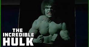 The Hulk Runs Into The Police! | Season 2 Episode 26 | The Incredible Hulk