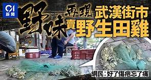 【新冠肺炎】武漢街市公開賣野生田雞　網民斥「好了傷疤忘了痛」