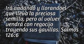 Explicación Salmos 126:6. 'Irá andando y llorandoel que lleva la preciosa semilla, pero al volver vendrá con regocijo trayendo sus gavillas.' - BibliaBendita