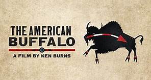 The American Buffalo:Official Trailer