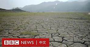 台灣缺水：56年來最嚴重乾旱，降雨能否為曾文水庫解旱？－ BBC News 中文