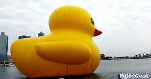 Giant Yellow Duck in Kaohsiung
