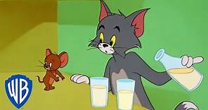 Tom y Jerry en Español | Tom & Jerry en pantalla completa | WB Kids