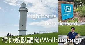 帶你遊澳洲臥龍崗(Wollongong) 臥龍崗燈塔 Wollongong Head Lighthouse 植物公園 Wollongong Botanic Garden