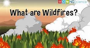 What are Wildfires?