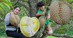 Giant fresh durian from the tree - amazing 2 recipes with big durian - Wonderful durian Fruit