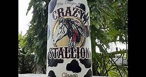 Shannon and Lou Review Crazy Stallion Classic Lager (USA) #beerreview