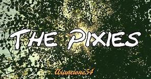 Pixies - The Happening (Sub español) Lyrics