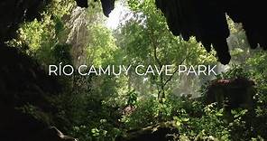 Discover Puerto Rico: Río Camuy Cave Park