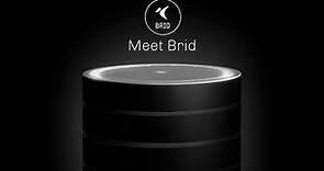BRID Air Purifier | Revolutionary Air Cleaner With Nanotechnology