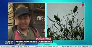 Aves mueren en San Luis Potosí debido a las altas temperaturas | DPC con Nacho Lozano