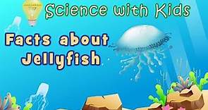 Facts about Jellyfish - Science with Kids