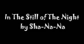 In The Still of The Night - Sha Na Na