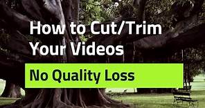 How to Trim A Video on Windows (Simple & Quick Tutorial)