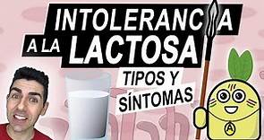 INTOLERANCIA A LA LACTOSA | Tipos y síntomas de un intolerante a la lactosa | ¿Qué es la lactasa?