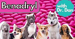 Benadryl For Dogs? Dr. Dan Explains