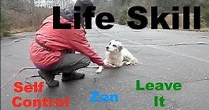 Self Control in Dogs: Zen, Leave it, Impulse Training A Life Skill #dogtraining #dogskills