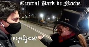 Es Seguro visitar el Central Park de noche? - New York City