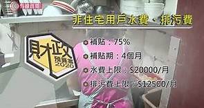財政預算案；183億元撐企業 提供百分百擔保低息貸款 - 20200226 - 香港新聞-有線新聞 i-Cable News