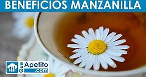 8 Propiedades y Beneficios de la Manzanilla | QueApetito