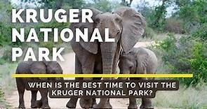 Kruger National Park - When is the best time to visit the Kruger National Park?