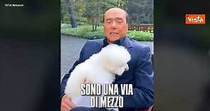 Berlusconi presenta il figlio del suo cane Dudù: "Via di mezzo tra un angelo e un bambino"