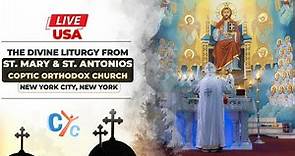 Live now the divine liturgy from St. Mary and St. Antonios Coptic Orthodox Church in Queens, NY.