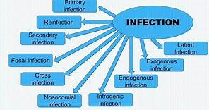 Infection and Types of Infection in English - Microbiology with Sumi