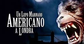 Un lupo mannaro americano a Londra (film 1981) TRAILER ITALIANO