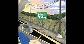 Frankie Cosmos - Next Thing (Full Album)