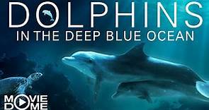 Dolphins in the deep Blue Ocean | Full Film | documentary | Watch for free at Moviedome UK